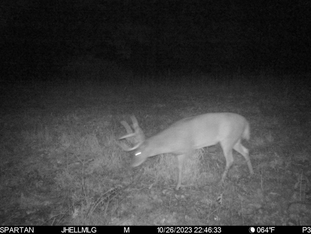 000 Messmer Road, SAVANNA, Illinois 61074, ,Land,For Sale,Messmer Road,202600579