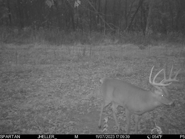 000 Messmer Road, SAVANNA, Illinois 61074, ,Land,For Sale,Messmer Road,202600579