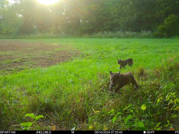 000 Messmer Road, SAVANNA, Illinois 61074, ,Land,For Sale,Messmer Road,202600579