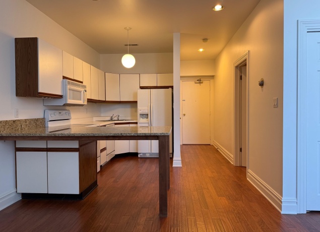 411 Prospect, GALENA, Illinois 61036, ,1 BathroomBathrooms,Condominium,For Sale,Prospect,202600614