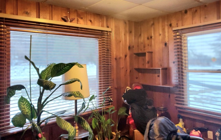 6858 Safford, ROCKFORD, Illinois 61101, 5 Bedrooms Bedrooms, ,2 BathroomsBathrooms,House,For Sale,Safford,202600639