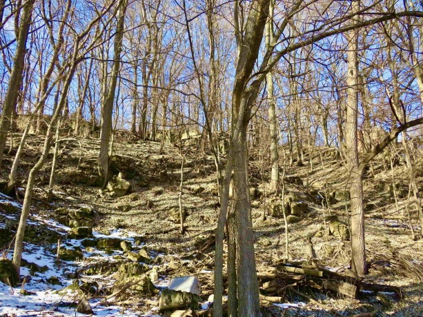 418 Broadway, GALENA, Illinois 61036, 3 Bedrooms Bedrooms, ,2 BathroomsBathrooms,House,For Sale,Broadway,202600649