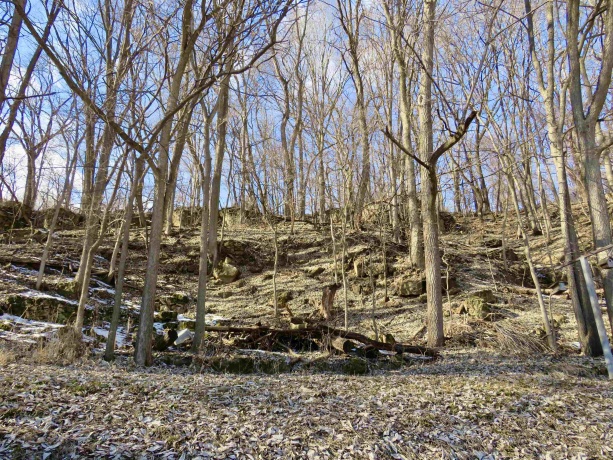 418 Broadway, GALENA, Illinois 61036, 3 Bedrooms Bedrooms, ,2 BathroomsBathrooms,House,For Sale,Broadway,202600649