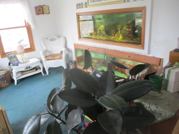 1864 2753rd, OTTAWA, Illinois 61350, 4 Bedrooms Bedrooms, ,2 BathroomsBathrooms,House,For Sale,2753rd,202600670