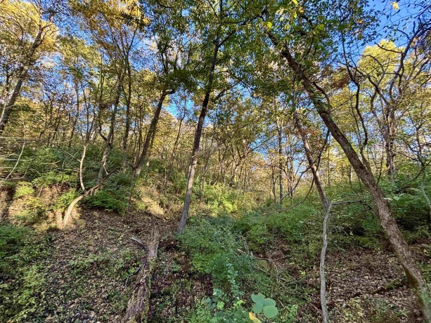 7151 Blackjack, HANOVER, Illinois 61041, 3 Bedrooms Bedrooms, ,1 BathroomBathrooms,House,For Sale,Blackjack,202506663