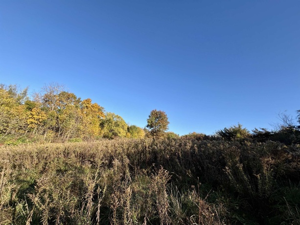 7151 Blackjack, HANOVER, Illinois 61041, 3 Bedrooms Bedrooms, ,1 BathroomBathrooms,House,For Sale,Blackjack,202506663