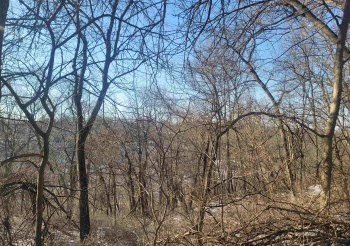 TBD Ridge, GALENA, Illinois 61036, ,Land,For Sale,Ridge,202600685