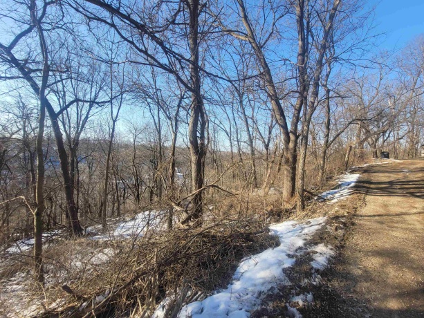 TBD Ridge, GALENA, Illinois 61036, ,Land,For Sale,Ridge,202600685