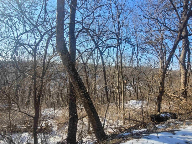 TBD Ridge, GALENA, Illinois 61036, ,Land,For Sale,Ridge,202600685