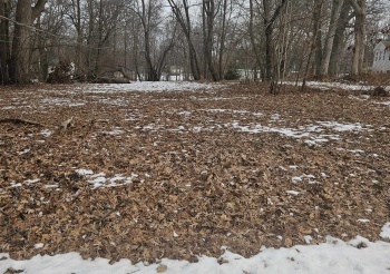 412 Lockwood, LAKE SUMMERSET, Illinois 61019, ,Land,For Sale,Lockwood,202600686