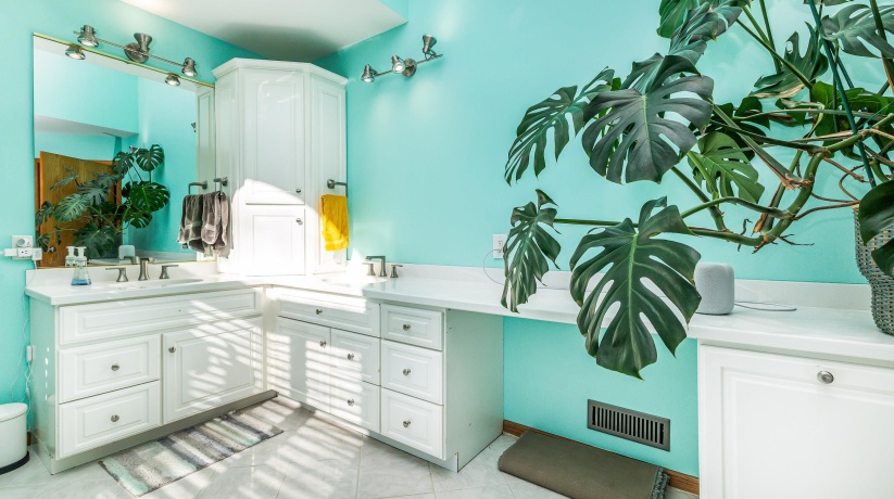 7 Colony, GALENA, Illinois 61036, 4 Bedrooms Bedrooms, ,3 BathroomsBathrooms,House,For Sale,Colony,202600691