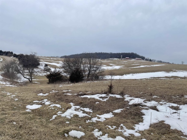 320 Thunder Bay, GALENA, Illinois 61036, ,Land,For Sale,Thunder Bay,202600696