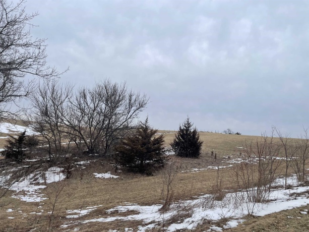 320 Thunder Bay, GALENA, Illinois 61036, ,Land,For Sale,Thunder Bay,202600696