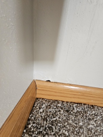 5927 Linden, ROCKFORD, Illinois 61108, 4 Bedrooms Bedrooms, ,2 BathroomsBathrooms,House,For Sale,Linden,202600707