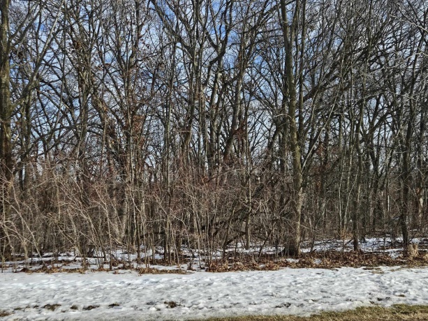 2 Briarwood, GALENA, Illinois 61036, 3 Bedrooms Bedrooms, ,3 BathroomsBathrooms,House,For Sale,Briarwood,202600715