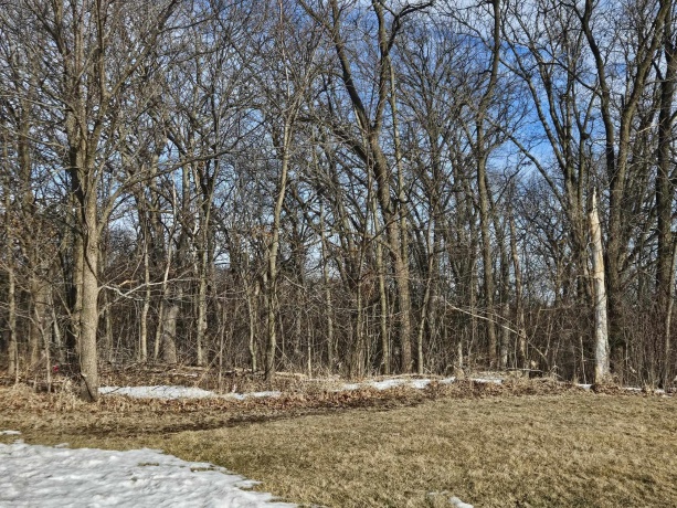 2 Briarwood, GALENA, Illinois 61036, 3 Bedrooms Bedrooms, ,3 BathroomsBathrooms,House,For Sale,Briarwood,202600715