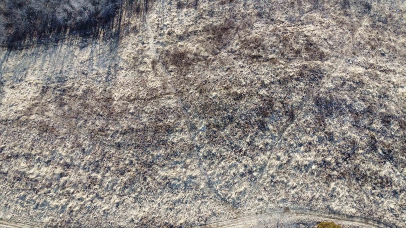 39.61 Acres +/- TBD Donegan, GALENA, Illinois 61036, ,Land,For Sale,TBD Donegan,202600717