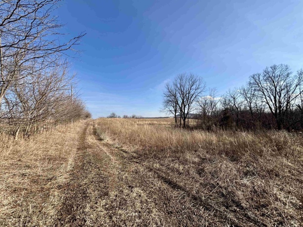 39.61 Acres +/- TBD Donegan, GALENA, Illinois 61036, ,Land,For Sale,TBD Donegan,202600717