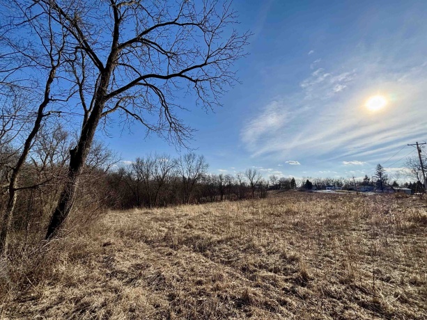 39.61 Acres +/- TBD Donegan, GALENA, Illinois 61036, ,Land,For Sale,TBD Donegan,202600717