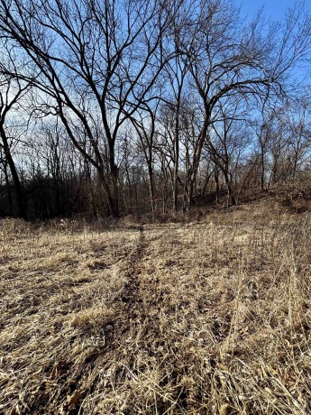 39.61 Acres +/- TBD Donegan, GALENA, Illinois 61036, ,Land,For Sale,TBD Donegan,202600717