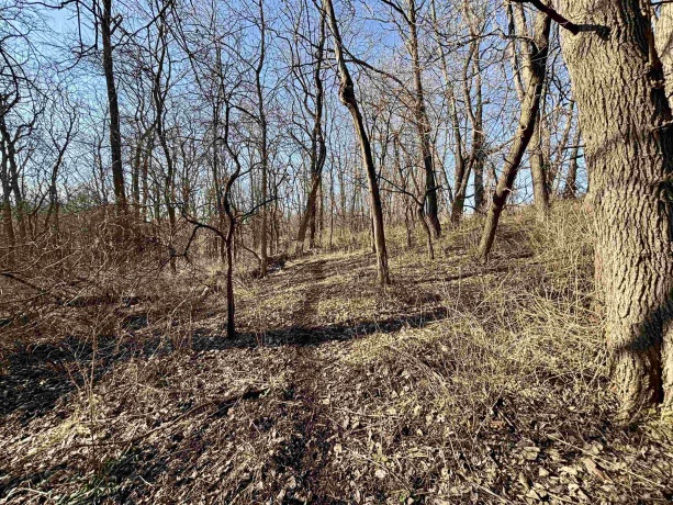 39.61 Acres +/- TBD Donegan, GALENA, Illinois 61036, ,Land,For Sale,TBD Donegan,202600717