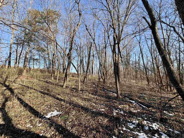 39.61 Acres +/- TBD Donegan, GALENA, Illinois 61036, ,Land,For Sale,TBD Donegan,202600717