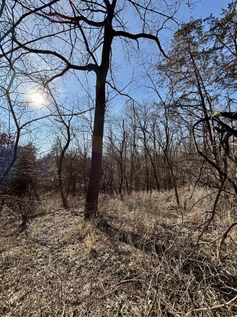 39.61 Acres +/- TBD Donegan, GALENA, Illinois 61036, ,Land,For Sale,TBD Donegan,202600717