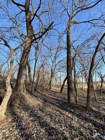 39.61 Acres +/- TBD Donegan, GALENA, Illinois 61036, ,Land,For Sale,TBD Donegan,202600717