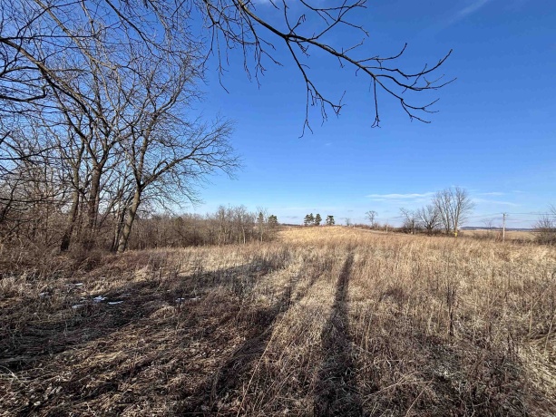 39.61 Acres +/- TBD Donegan, GALENA, Illinois 61036, ,Land,For Sale,TBD Donegan,202600717