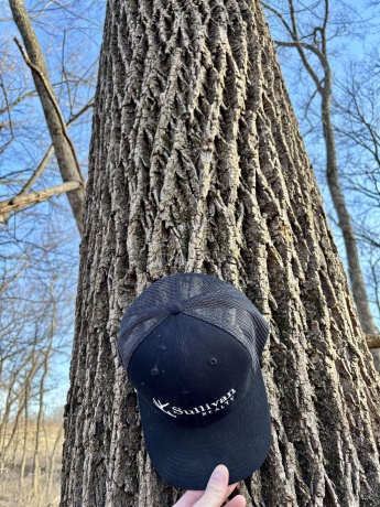 39.61 Acres +/- TBD Donegan, GALENA, Illinois 61036, ,Land,For Sale,TBD Donegan,202600717