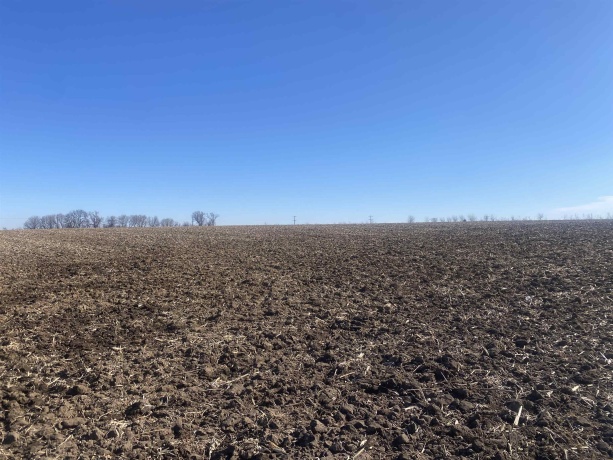 147 Acres Falconer, WINNEBAGO, Illinois 61088, ,Farm,For Sale,Falconer,202600743