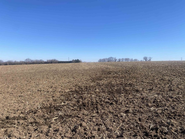 147 Acres Falconer, WINNEBAGO, Illinois 61088, ,Farm,For Sale,Falconer,202600743