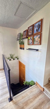 515 Hill, LANARK, Illinois 61046, 3 Bedrooms Bedrooms, ,1 BathroomBathrooms,House,For Sale,Hill,202600750