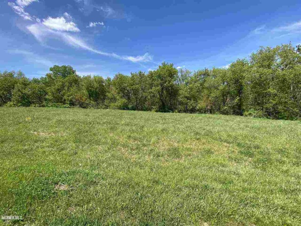 12-245 Birchbark, LAKE CARROLL, Illinois 61046, ,Land,For Sale,Birchbark,202600763
