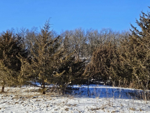 45 Sugarcreek Trail, GALENA, Illinois 61036, ,Land,For Sale,Sugarcreek Trail,202600779
