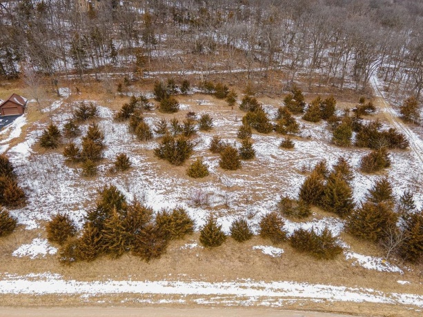 45 Sugarcreek Trail, GALENA, Illinois 61036, ,Land,For Sale,Sugarcreek Trail,202600779