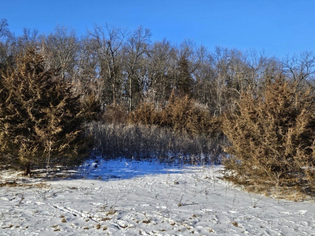 45 Sugarcreek Trail, GALENA, Illinois 61036, ,Land,For Sale,Sugarcreek Trail,202600779