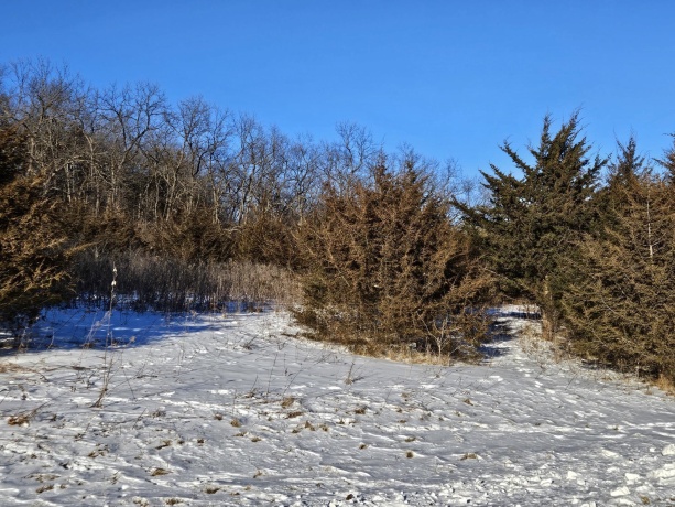 45 Sugarcreek Trail, GALENA, Illinois 61036, ,Land,For Sale,Sugarcreek Trail,202600779