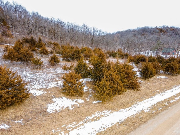45 Sugarcreek Trail, GALENA, Illinois 61036, ,Land,For Sale,Sugarcreek Trail,202600779