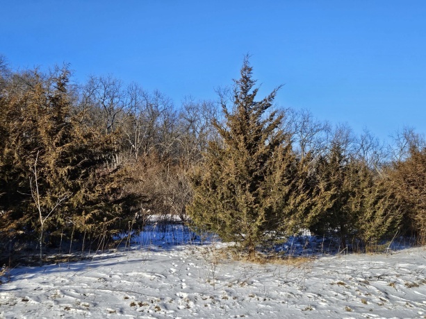 45 Sugarcreek Trail, GALENA, Illinois 61036, ,Land,For Sale,Sugarcreek Trail,202600779