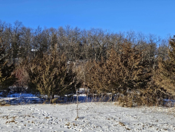45 Sugarcreek Trail, GALENA, Illinois 61036, ,Land,For Sale,Sugarcreek Trail,202600779