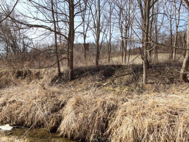 17896 Skunk Hollow, MOUNT CARROLL, Illinois 61053, 3 Bedrooms Bedrooms, ,1 BathroomBathrooms,House,For Sale,Skunk Hollow,202600804