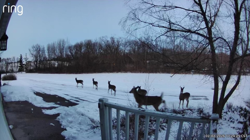 19905 State Line, HARVARD, Illinois 60033, 3 Bedrooms Bedrooms, ,2 BathroomsBathrooms,House,For Sale,State Line,202600821