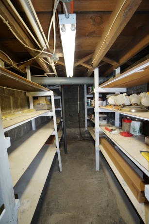 419 Main, STOCKTON, Illinois 61085, 4 Bedrooms Bedrooms, ,1 BathroomBathrooms,House,For Sale,Main,202600848