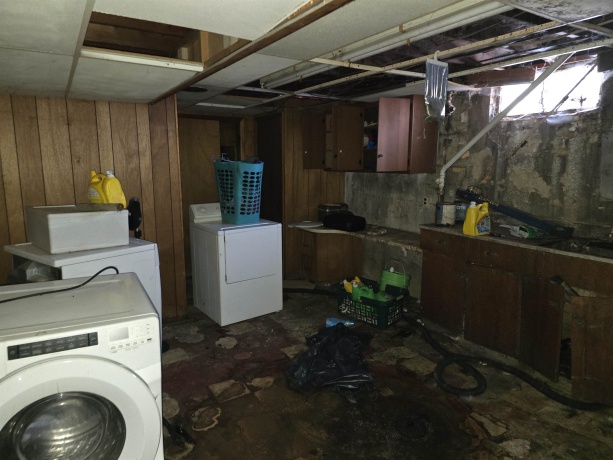 1442 Blackhawk, FREEPORT, Illinois 61032, 3 Bedrooms Bedrooms, ,2 BathroomsBathrooms,House,For Sale,Blackhawk,202600852