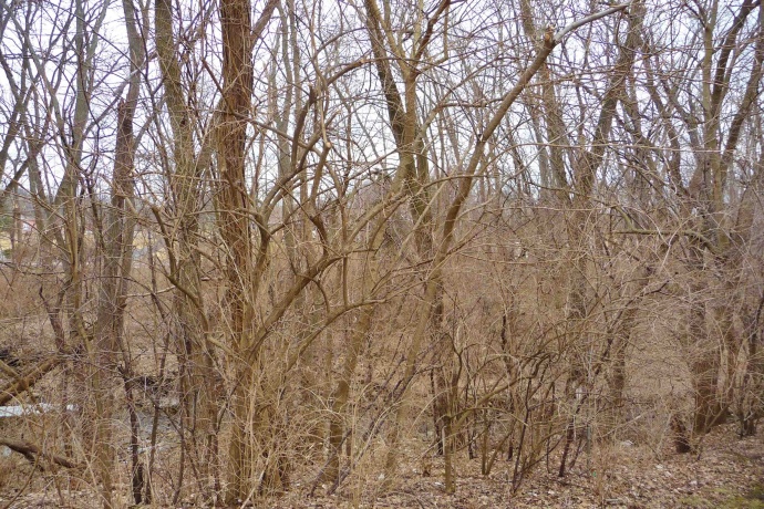 5301 Sandpiper Place, LOVES PARK, Illinois 61111, 2 Bedrooms Bedrooms, ,1 BathroomBathrooms,Condominium,For Sale,Sandpiper Place,202600876