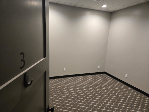 300 Hickory, APPLE RIVER, Illinois 61001, ,Commercial,For Sale,Hickory,202600894