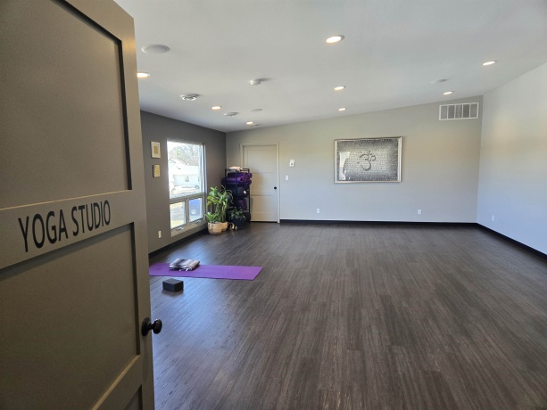 300 Hickory, APPLE RIVER, Illinois 61001, ,Commercial,For Sale,Hickory,202600894