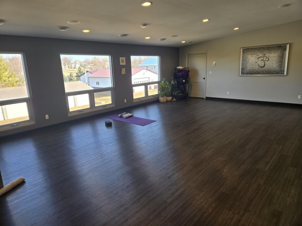 300 Hickory, APPLE RIVER, Illinois 61001, ,Commercial,For Sale,Hickory,202600894