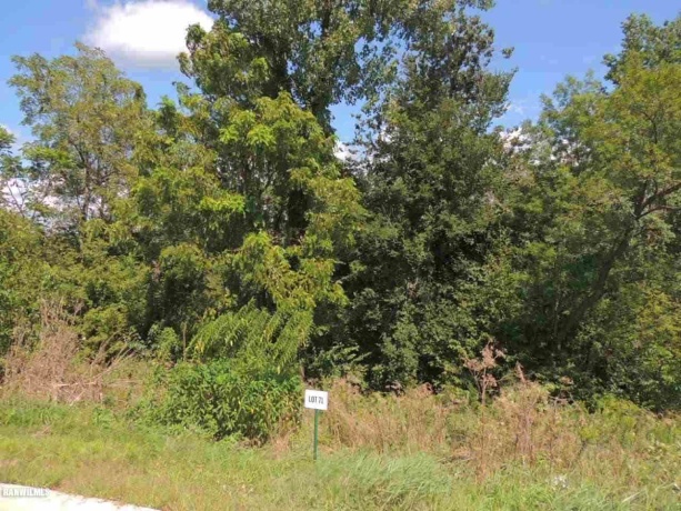 Lot 71 Ryan, GALENA, Illinois 61036, ,Land,For Sale,Ryan,131951